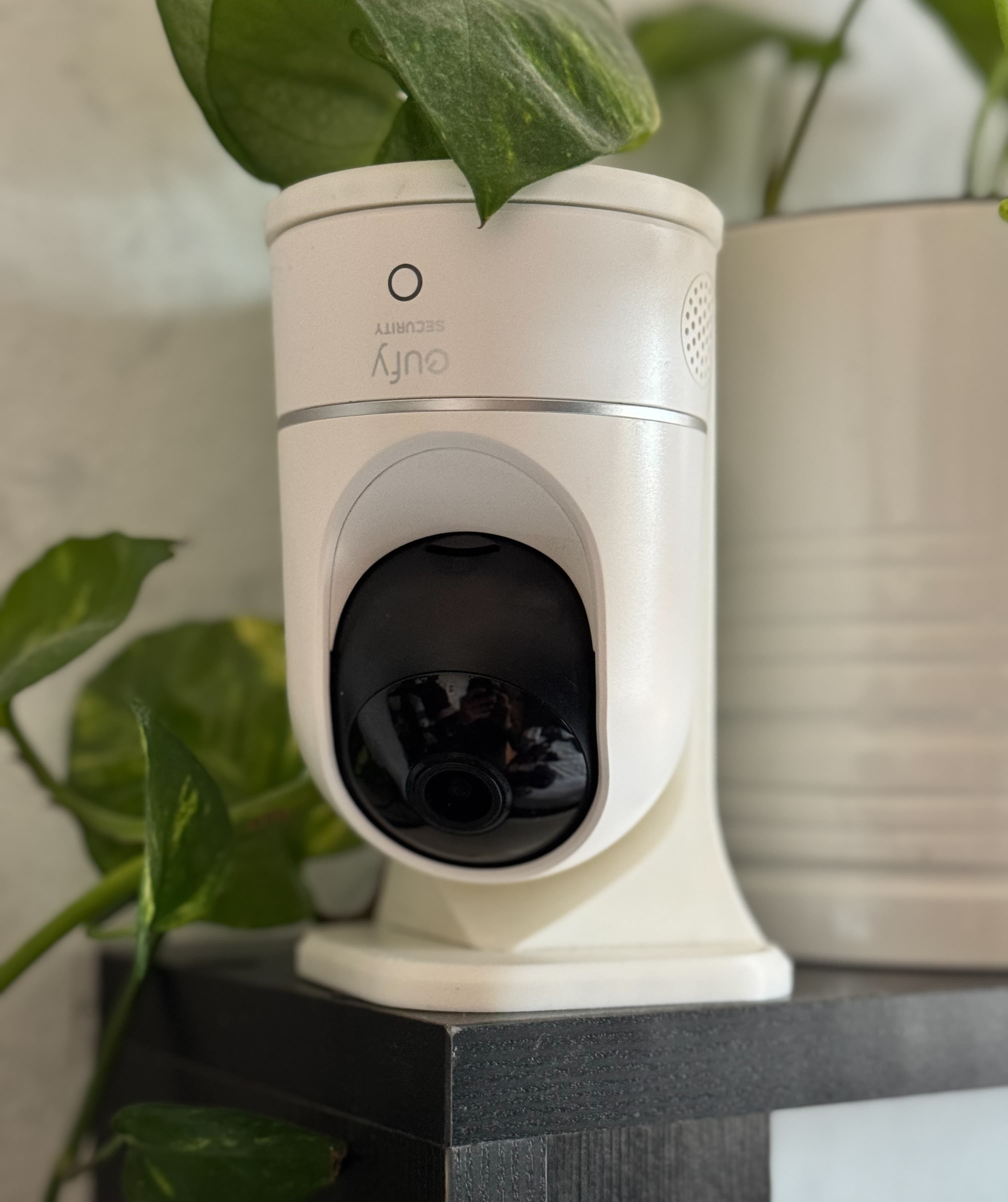 Front view of the Eufy E220 camera on the stand, on a dark surface next to a houseplant.
